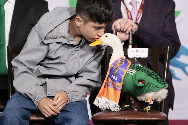 ¿Por qué el Pato Merlín no puede ir al estadio cuando juega México?